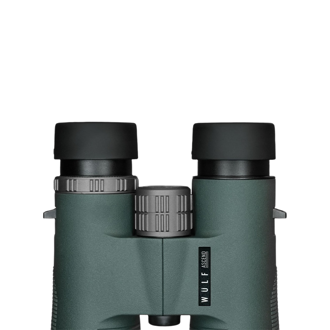 Ascend Binoculars